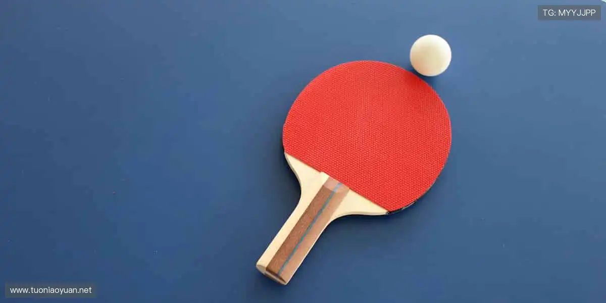 💻 多屏同看，精彩永不卡顿！